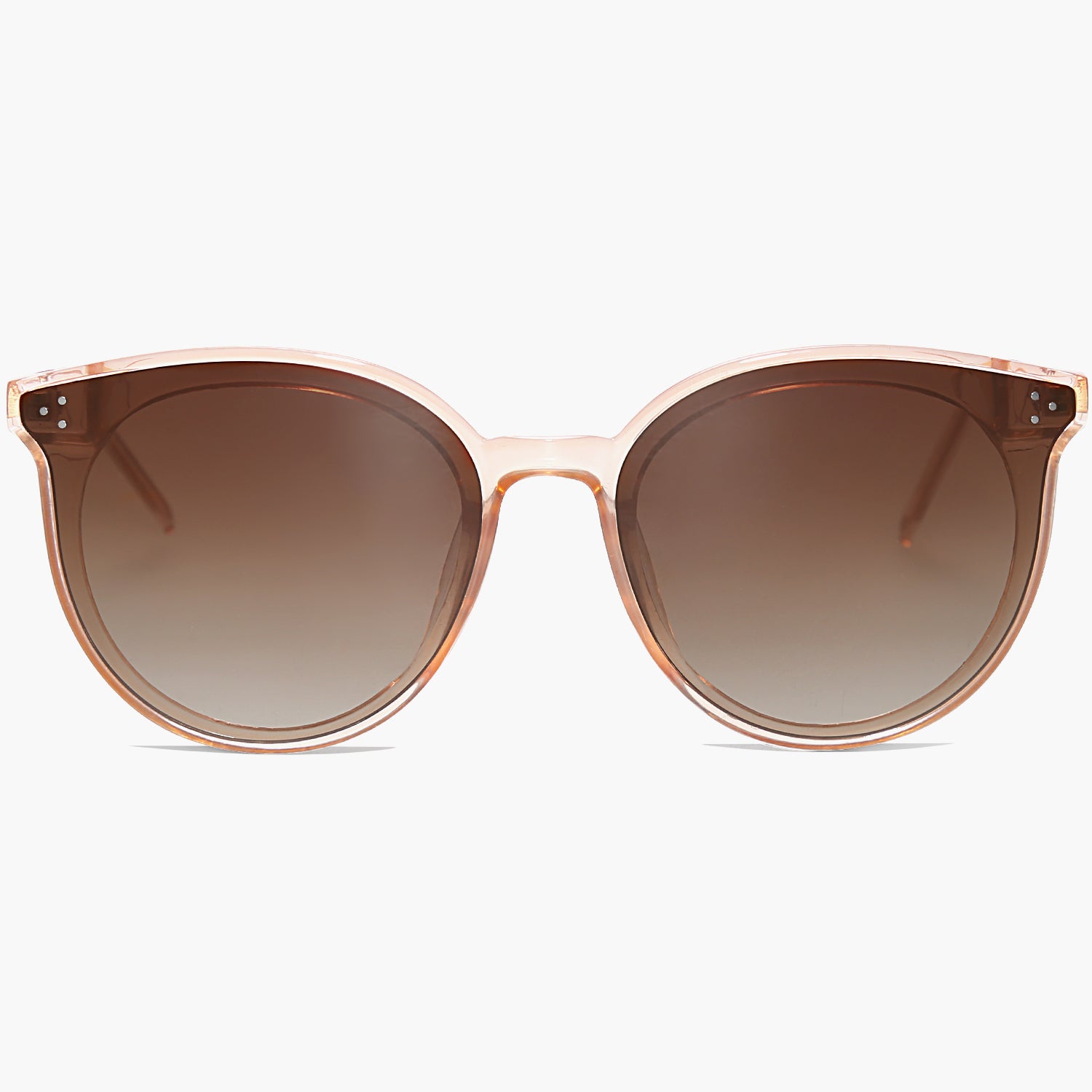 Rainbow Shield Sunglasses F– Chocolate Dolphin