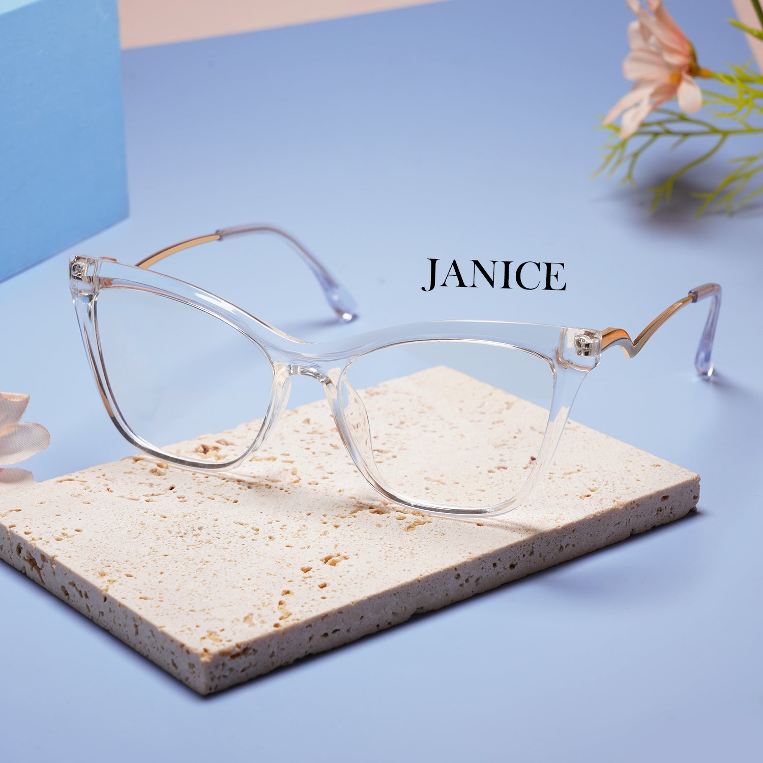 JANICE