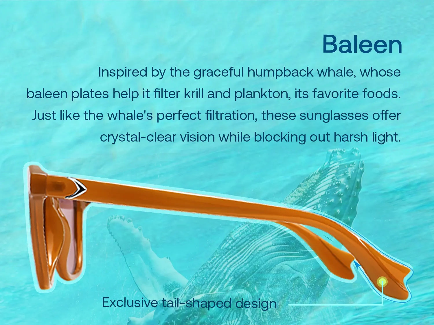 Baleen