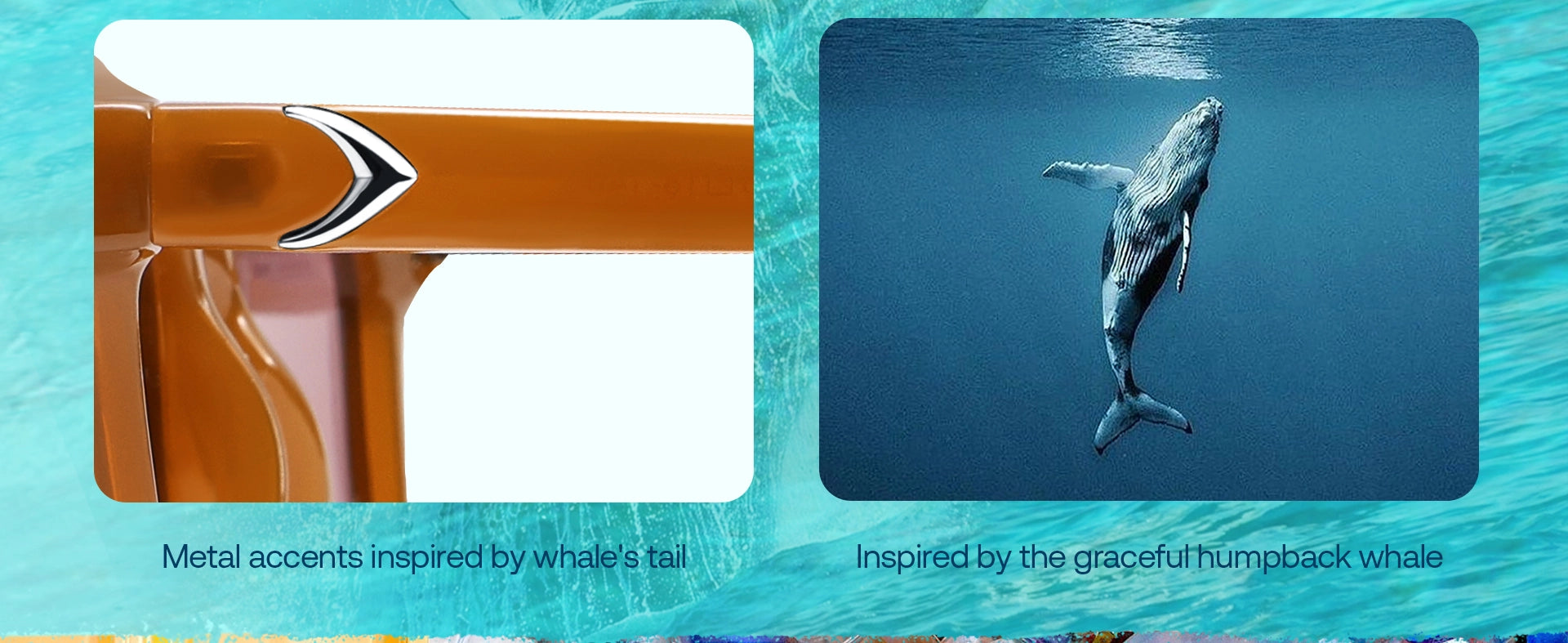 Baleen