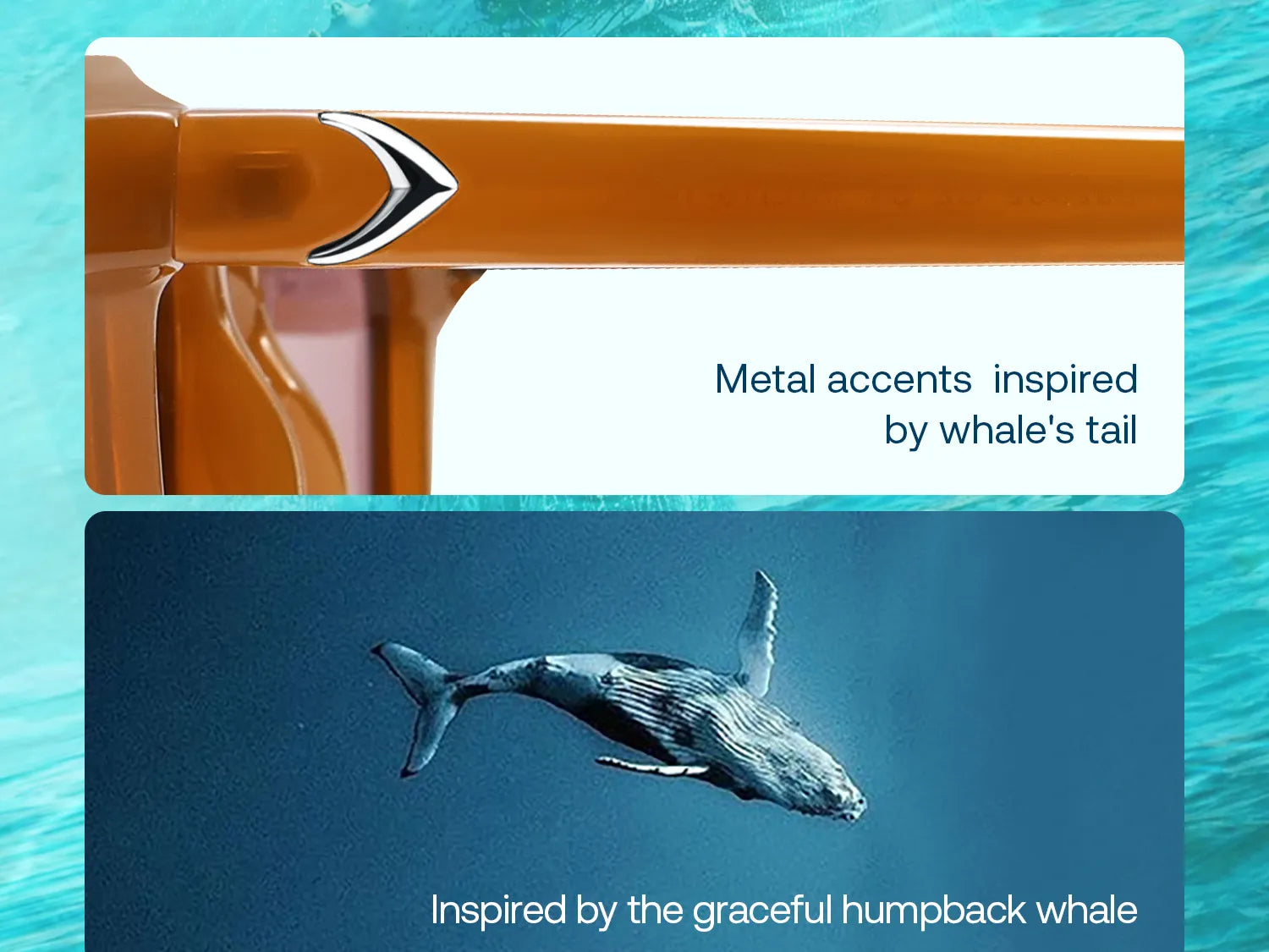 Baleen