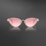 Black Friday Special Gift