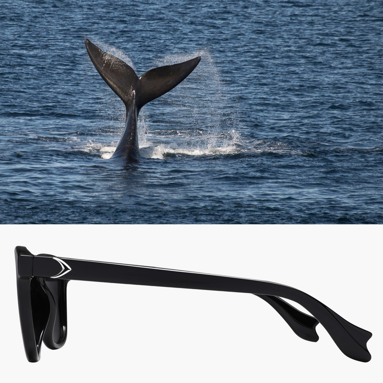 Baleen