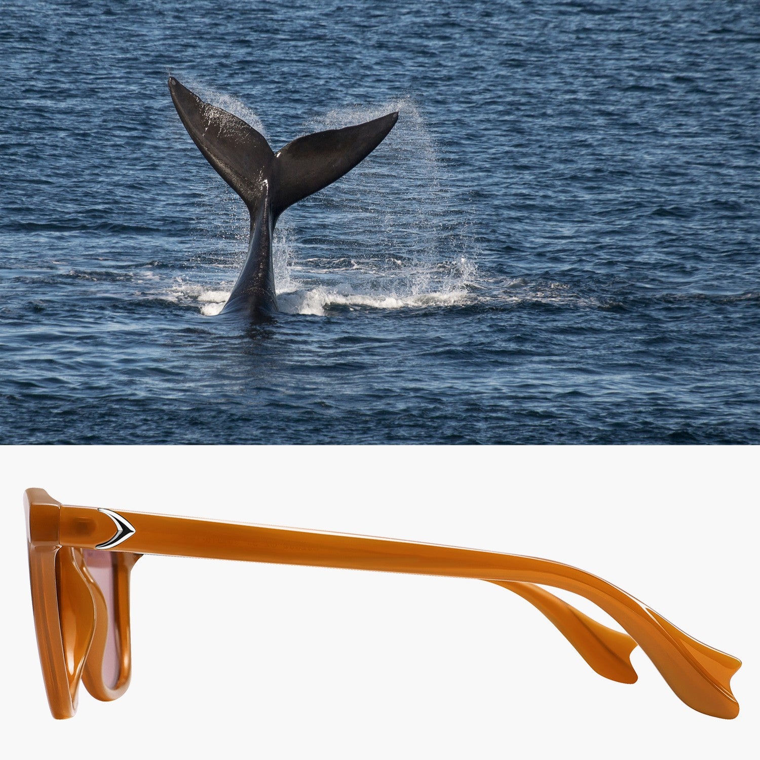 Baleen