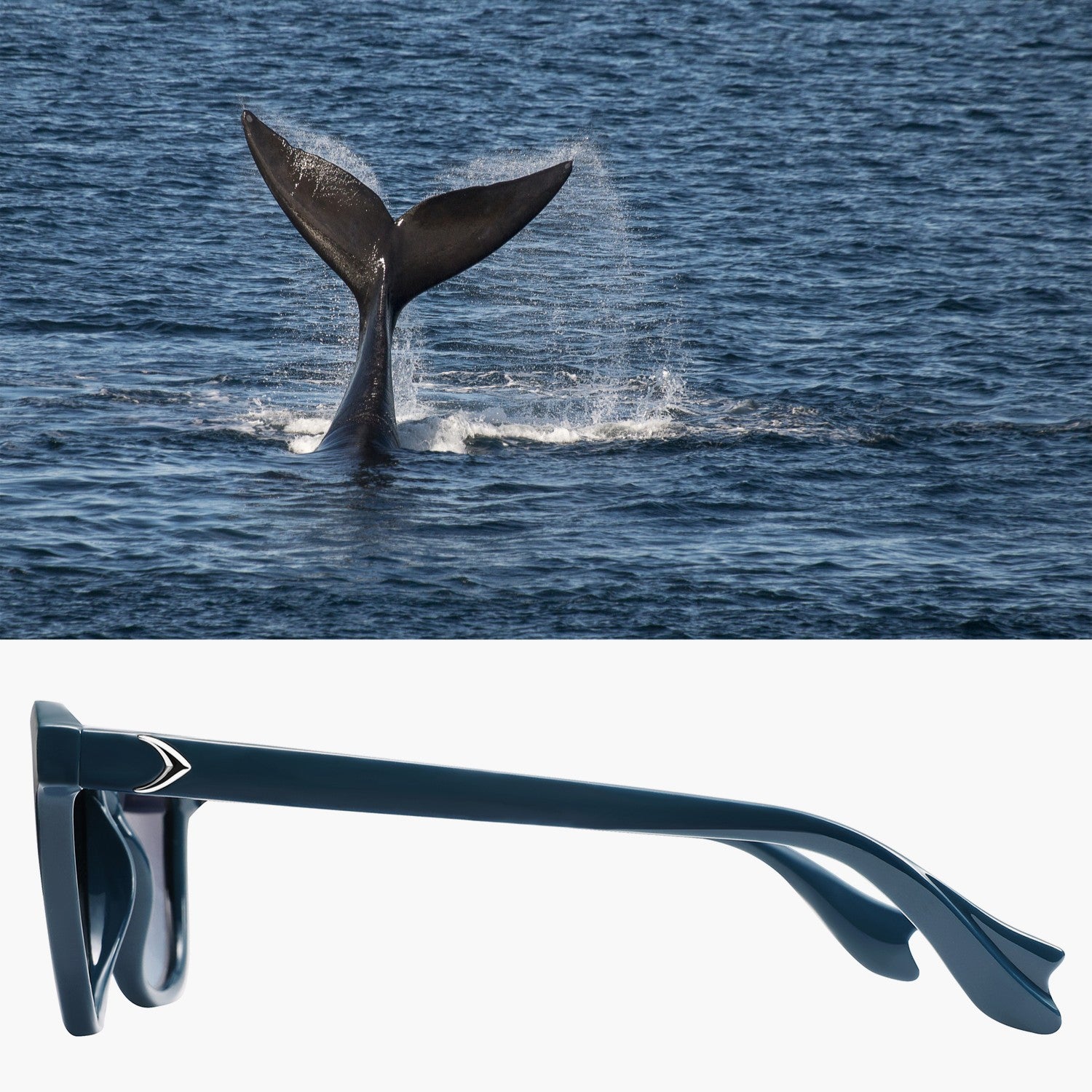 Baleen