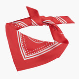 Silk Head Scarf