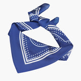 Silk Head Scarf