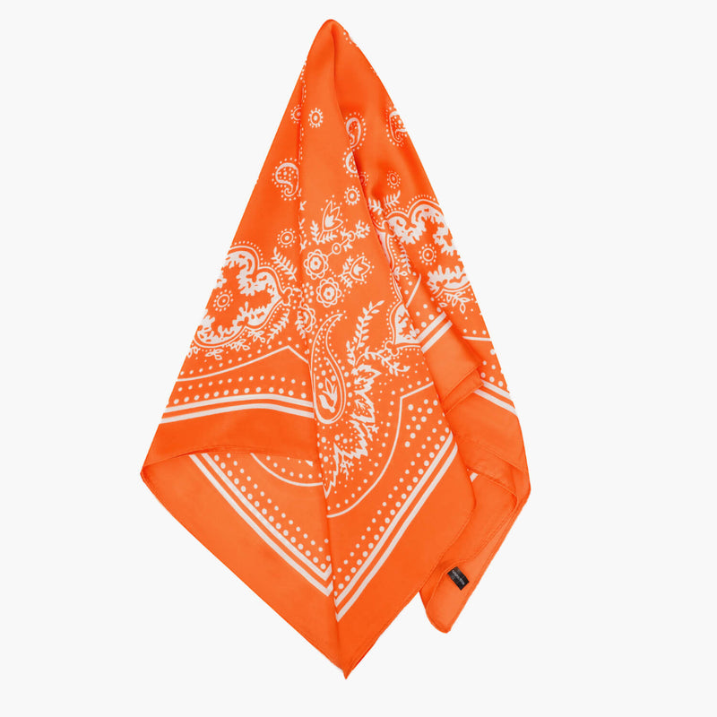 Silk Head Scarf
