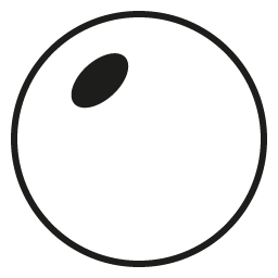 Single Vision Non-Polarized 1.61 High-Index